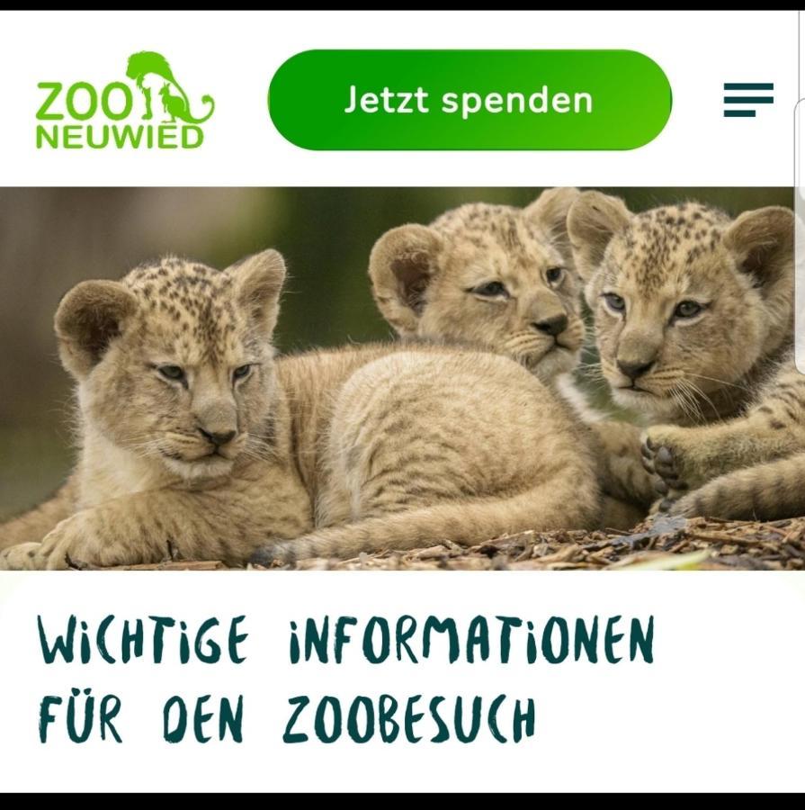 Fewo Mit Terasse Neuwied & Koblenz 外观 照片